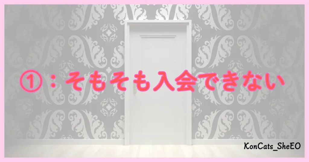 THE　SALON　パパ活　注意点　デメリット①